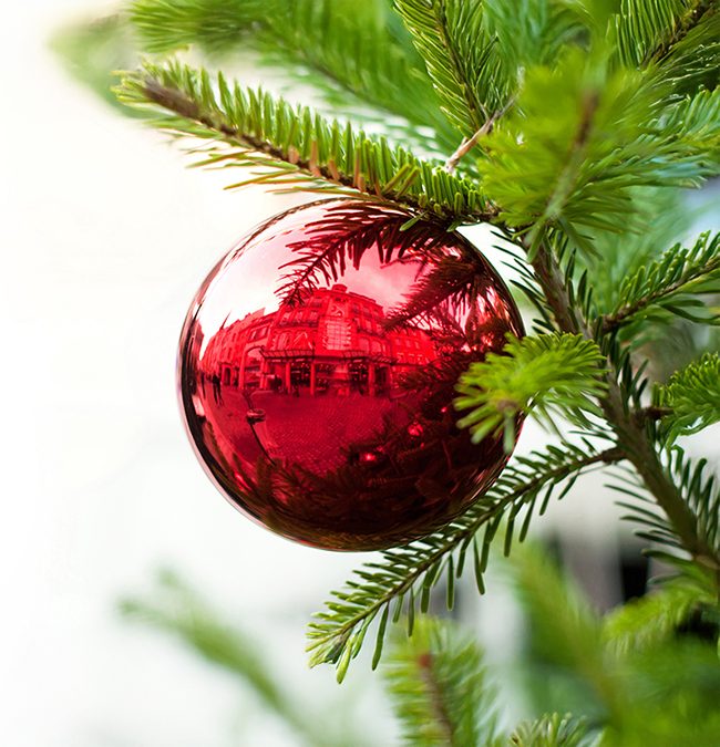 Red Bulb_2053745396 2